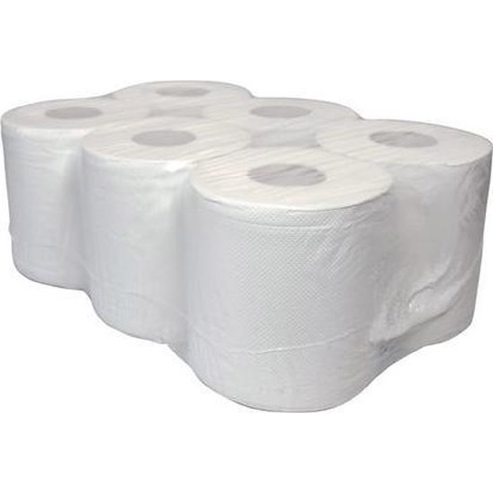 Poetsrollen Schoonmaak papier 2 laags - 19cmx30cm - 6 Rollen