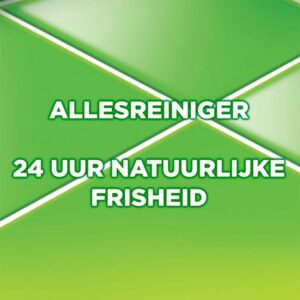 Ajax Allesreiniger Fête des Fleurs Lentebloem 1,25L